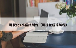 黔西可视化+小程序制作（可视化程序编程）